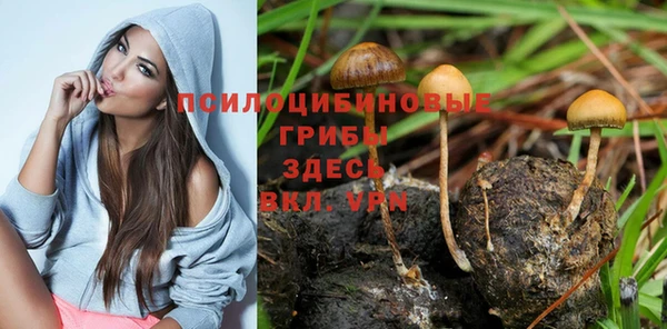 гашишное масло Костерёво